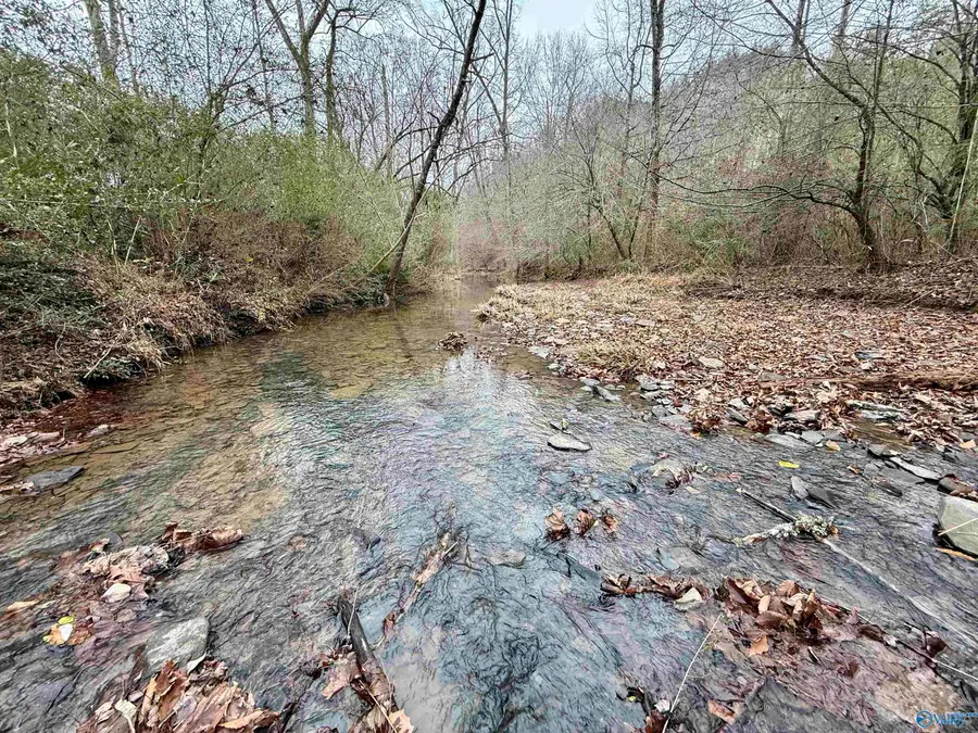 5680 County Road 223, Hanceville, AL 35077 - Image #3