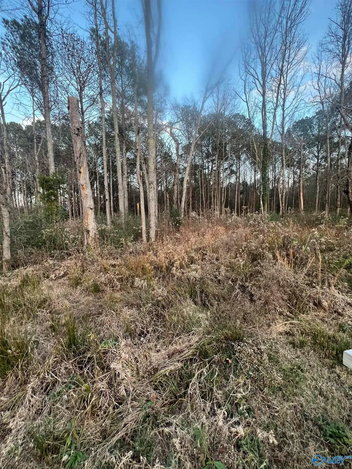 8 Junkins Road, Guntersville, AL 35976 - Image #1