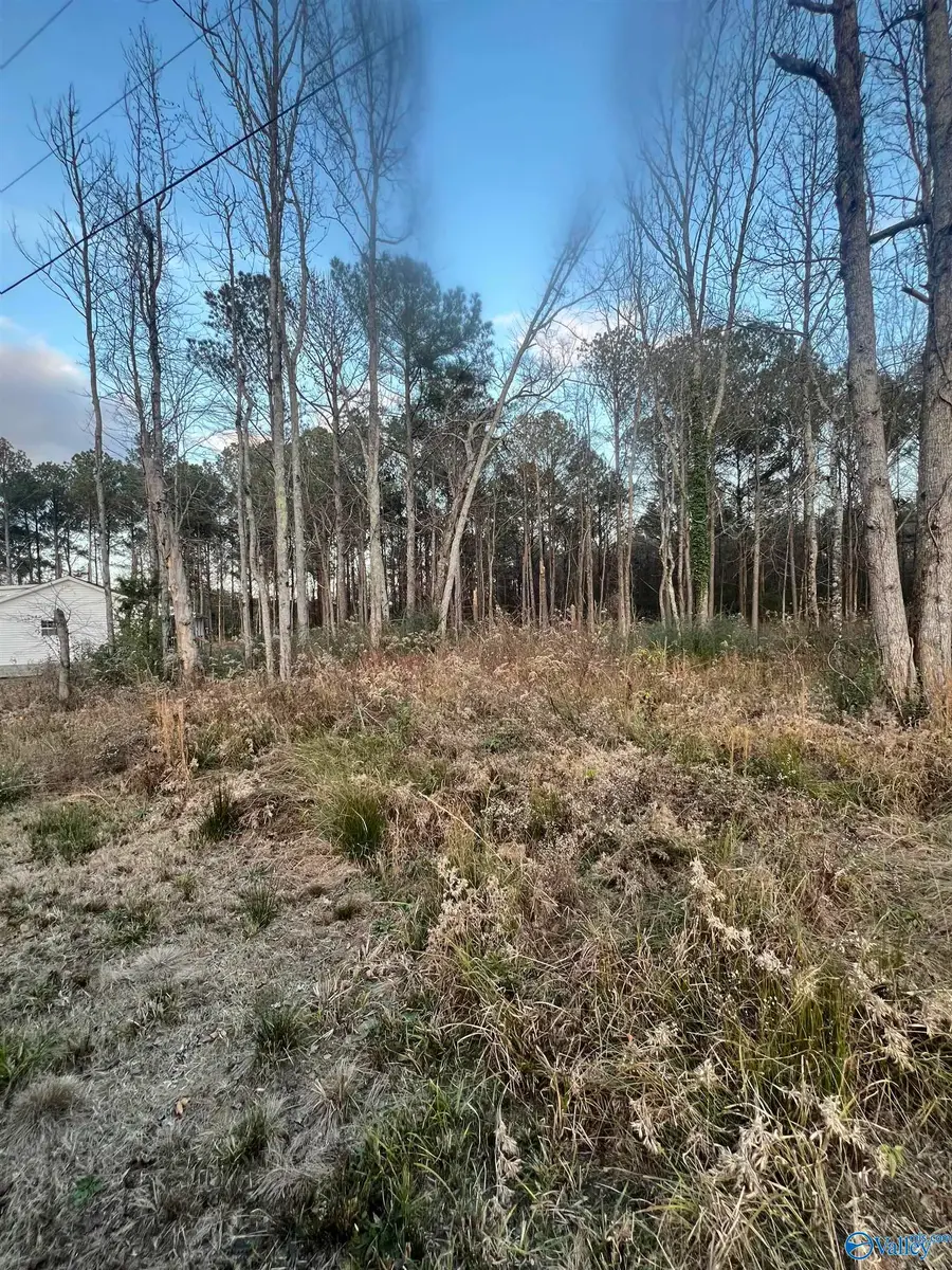 8 Junkins Road, Guntersville, AL 35976 - Image #2