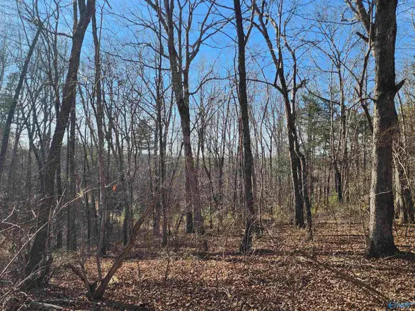 lot 35 Road 9050, Mentone, AL 35984