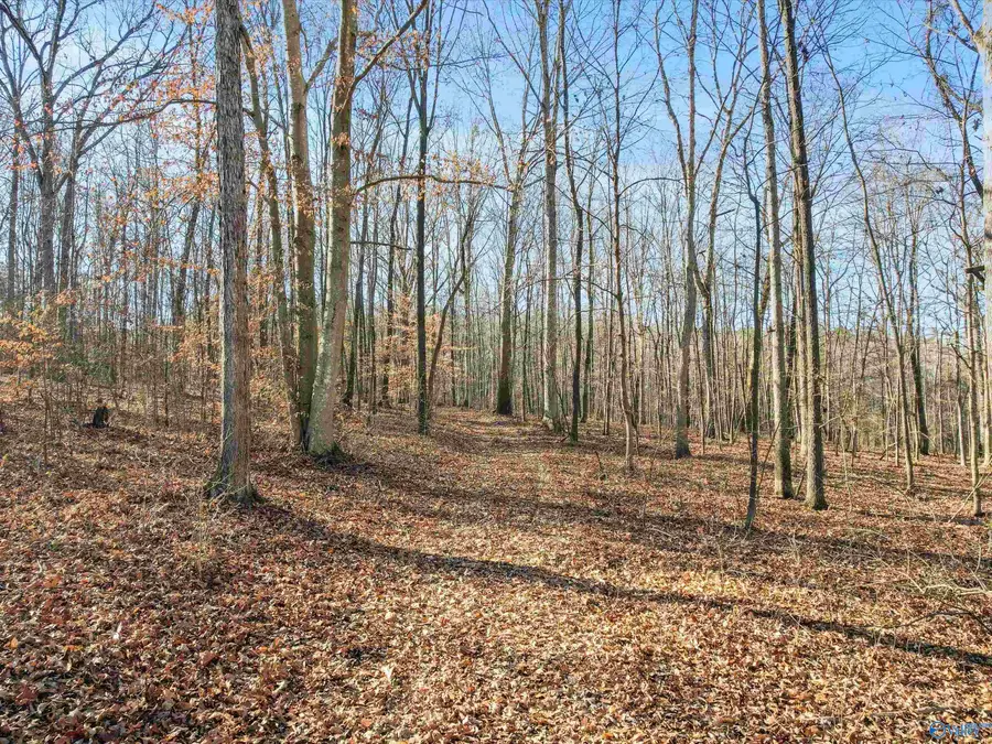 2 Acres Ole Man Ed Road, Lester, AL 35647 - Image #3