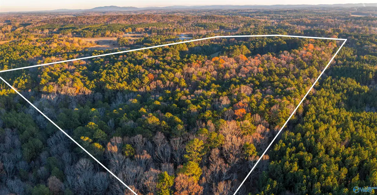76 acres Broken Arrow Drive, Gadsden, AL 35901 - Image #1