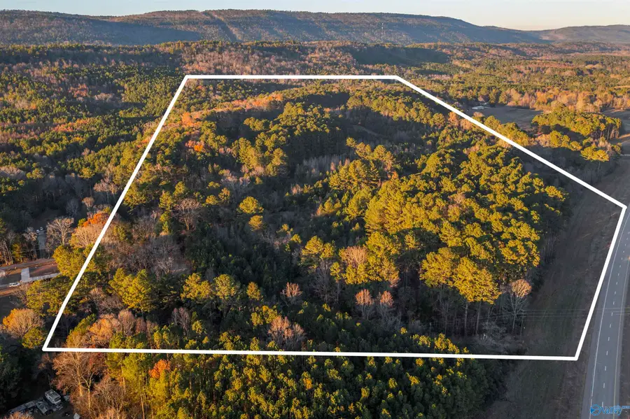 76 acres Broken Arrow Drive, Gadsden, AL 35901 - Image #2