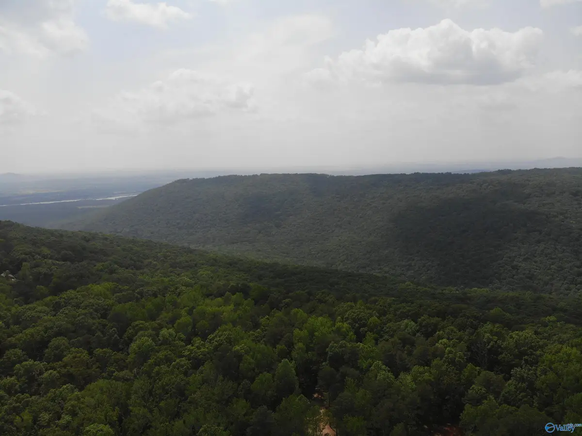 15087 Wade Point Road, Huntsville, AL 35803 - Image #1