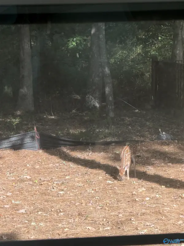 29 Bluff Creek, Huntsville, AL 35803