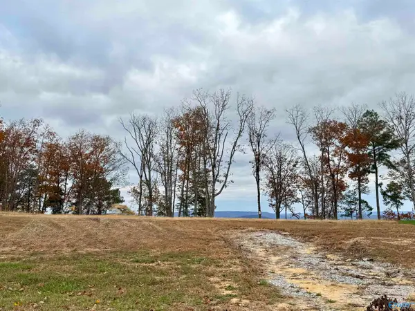 31 Ridge Bluff Circle, Huntsville, AL 35803