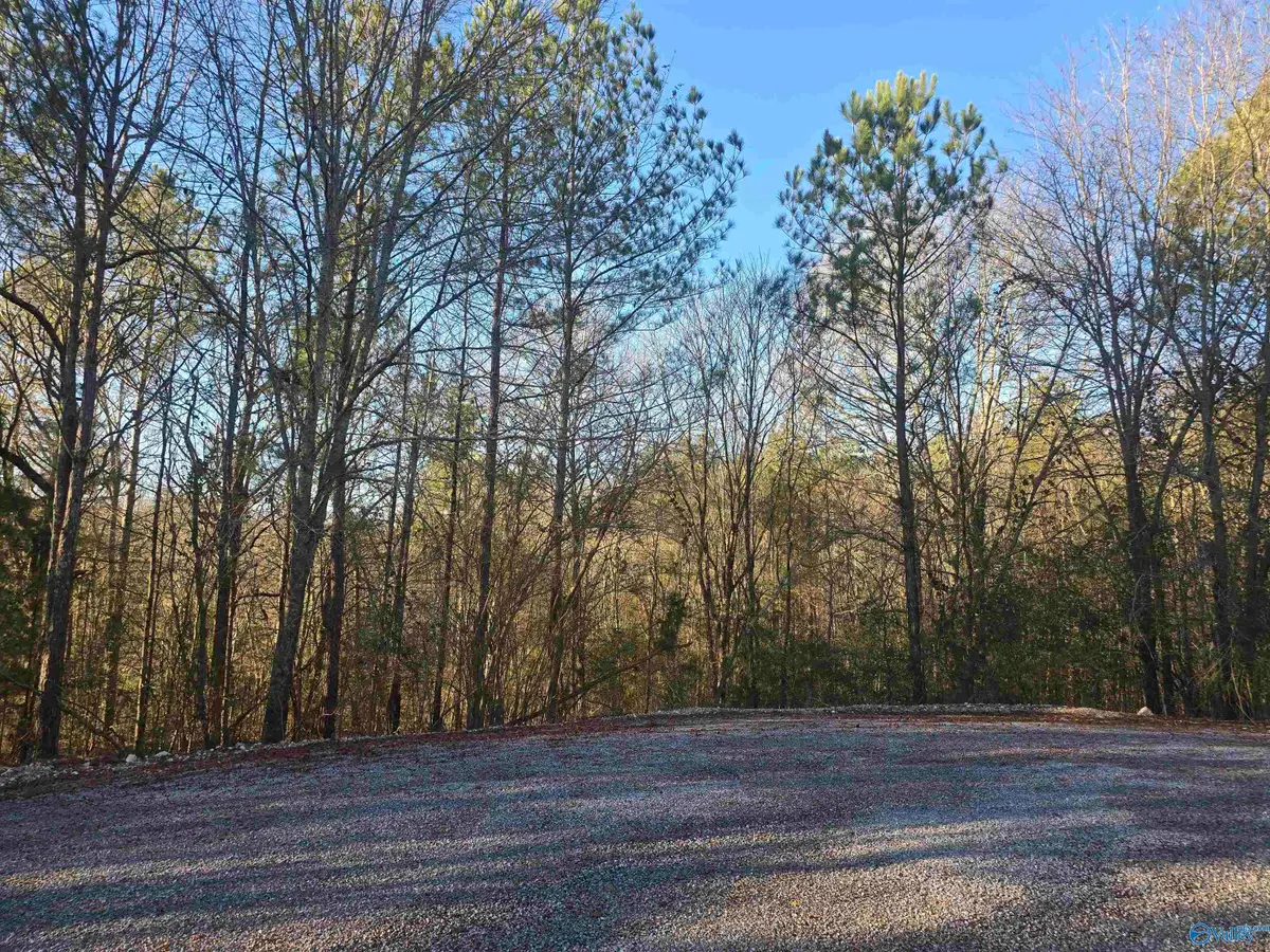 Lot 1,2,3,4 Gallant Cove, Gallant, AL 35972 - Image #1