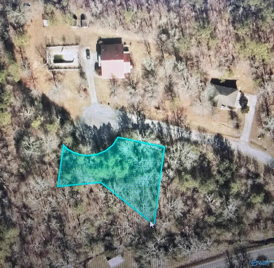 Lot 1,2,3,4 Gallant Cove, Gallant, AL 35972 - Image #3
