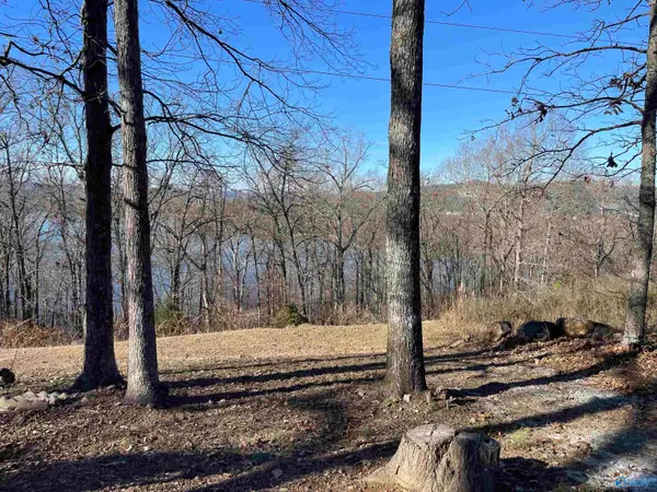 1.12 acres Savory Drive, Scottsboro, AL 35769