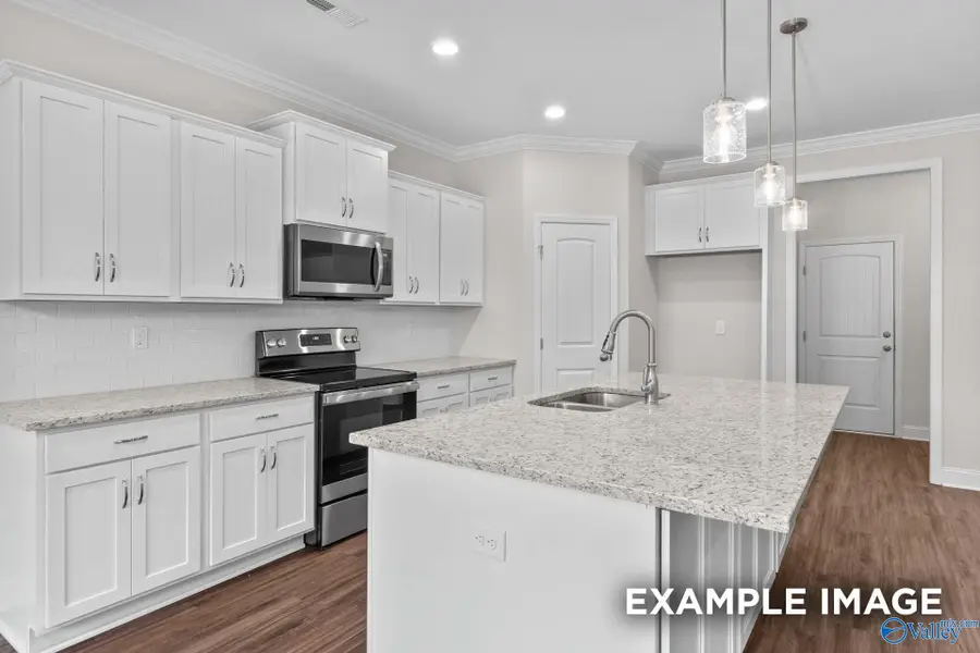 29523 Limestone Creek Way, Harvest, AL 35749 - Image #2