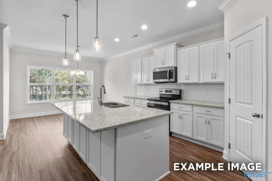 29523 Limestone Creek Way, Harvest, AL 35749 - Image #3