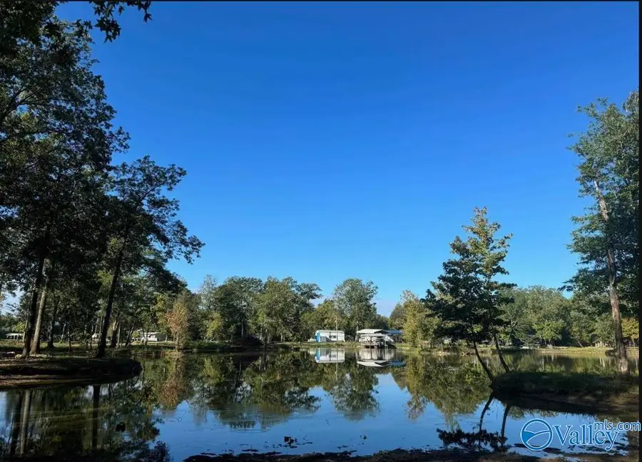 lot 7 County Road 182, Cedar Bluff, AL 35959 - Image #3