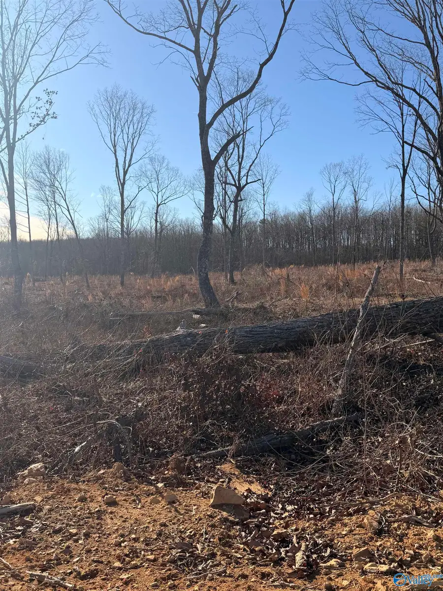 Lot 9 County Road 641, Mentone, AL 35984 - Image #2