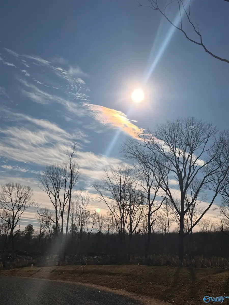 Lot 9 County Road 641, Mentone, AL 35984 - Image #3