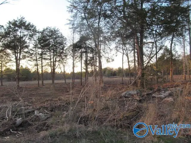 4 Razorback Way, Albertville, AL 35951 - #1