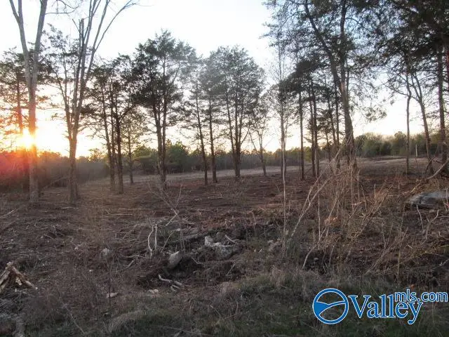 4 Razorback Way, Albertville, AL 35951 - #2