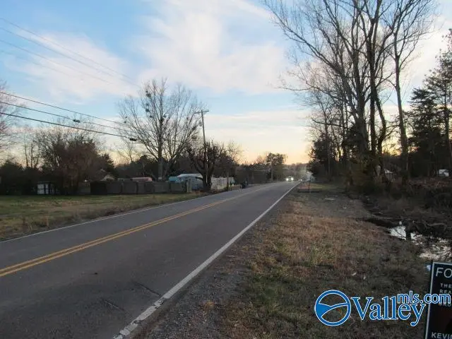 4 Razorback Way, Albertville, AL 35951 - #3