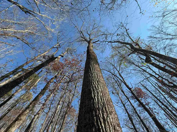 23 AC Tabor Road, Gadsden, AL 35904