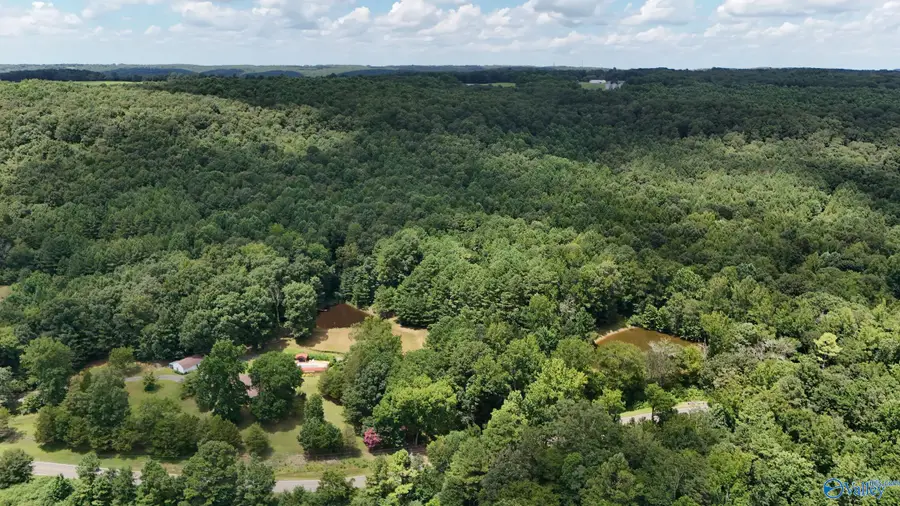 22 acres Gandys Cove Road, Falkville, AL 35622 - Image #2