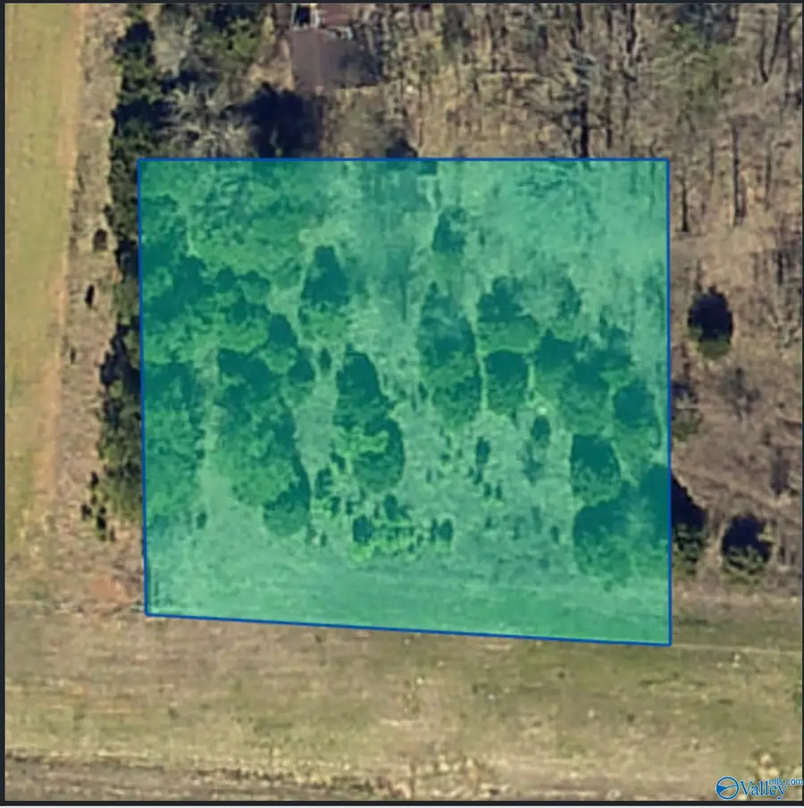 #0.80 Alabama Highway 24, Town Creek, AL 35672 - Image #3