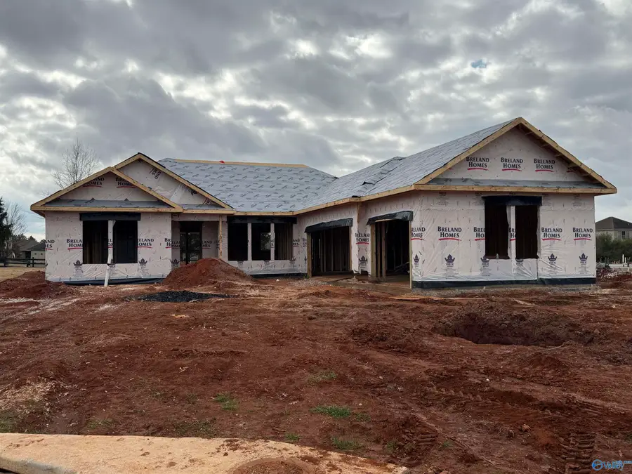 220 Emma Harris Circle, Triana, AL 35756 - Image #3