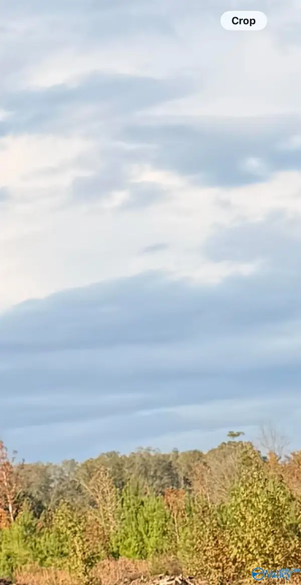 Lot 2 County Road 39, Piedmont, AL 35967