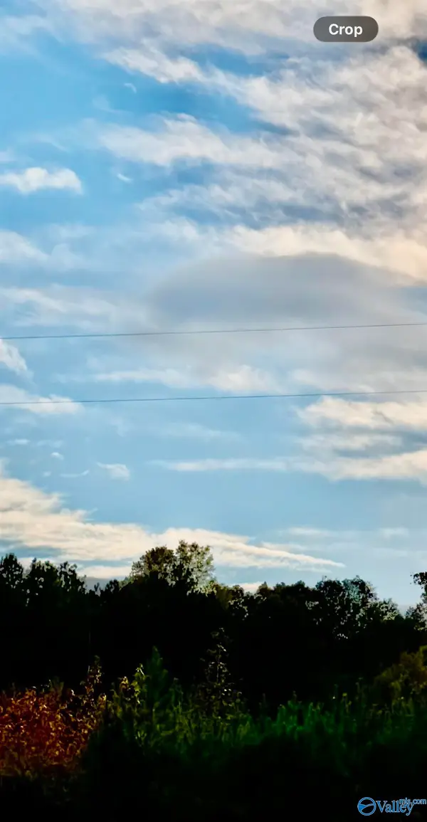 Lot 3 County Road 39, Piedmont, AL 36272