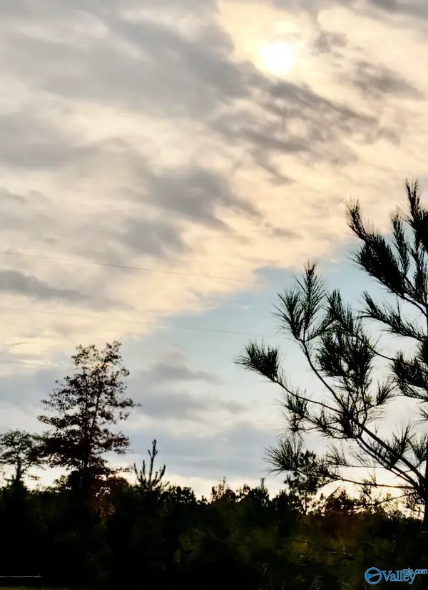 Lot 4 County Road 39, Piedmont, AL 36272