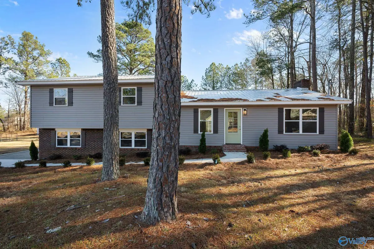 1571 Lee Street, Southside, AL 35907 - Image #1