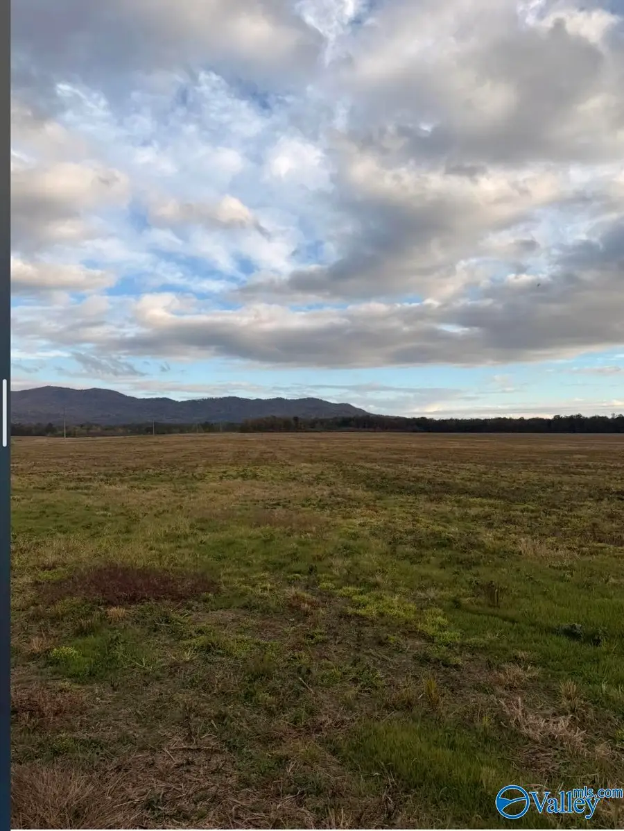 Lot 36 County Road 32, Piedmont, AL 36272 - Image #2