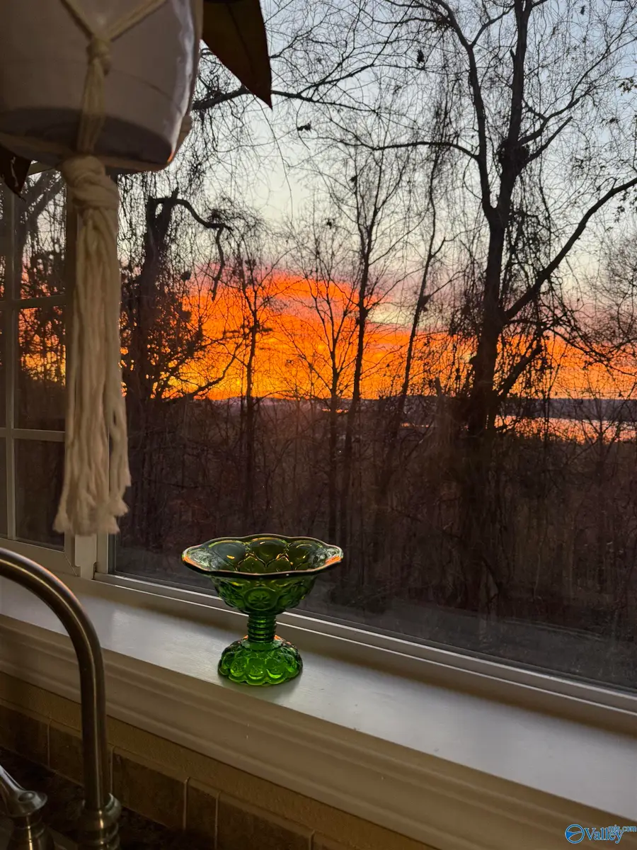 200 Lois Lane, Langston, AL 35755 - Image #3