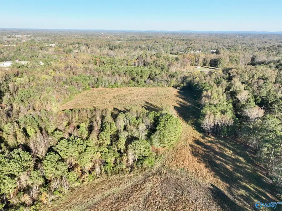9.6 Acres Pleasant Hill Church Road, Boaz, AL 35956 - Image #2