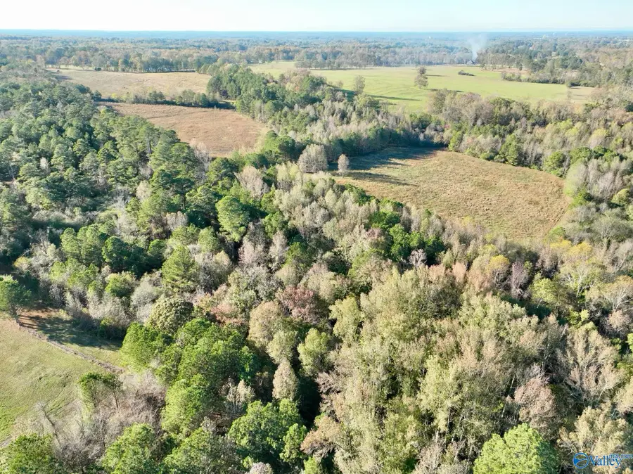 9.6 Acres Pleasant Hill Church Road, Boaz, AL 35956 - Image #3