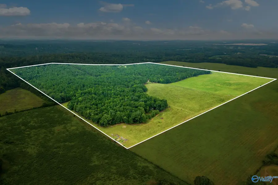 1015 Saint Mary Road, Lincoln, AL 35096 - Image #2