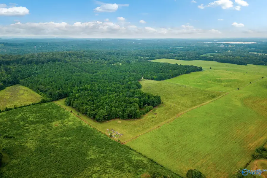 1015 Saint Mary Road, Lincoln, AL 35096 - Image #3