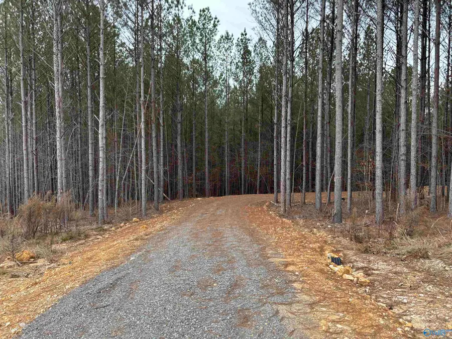 1 County Road 155, Centre, AL 35960 - Image #3