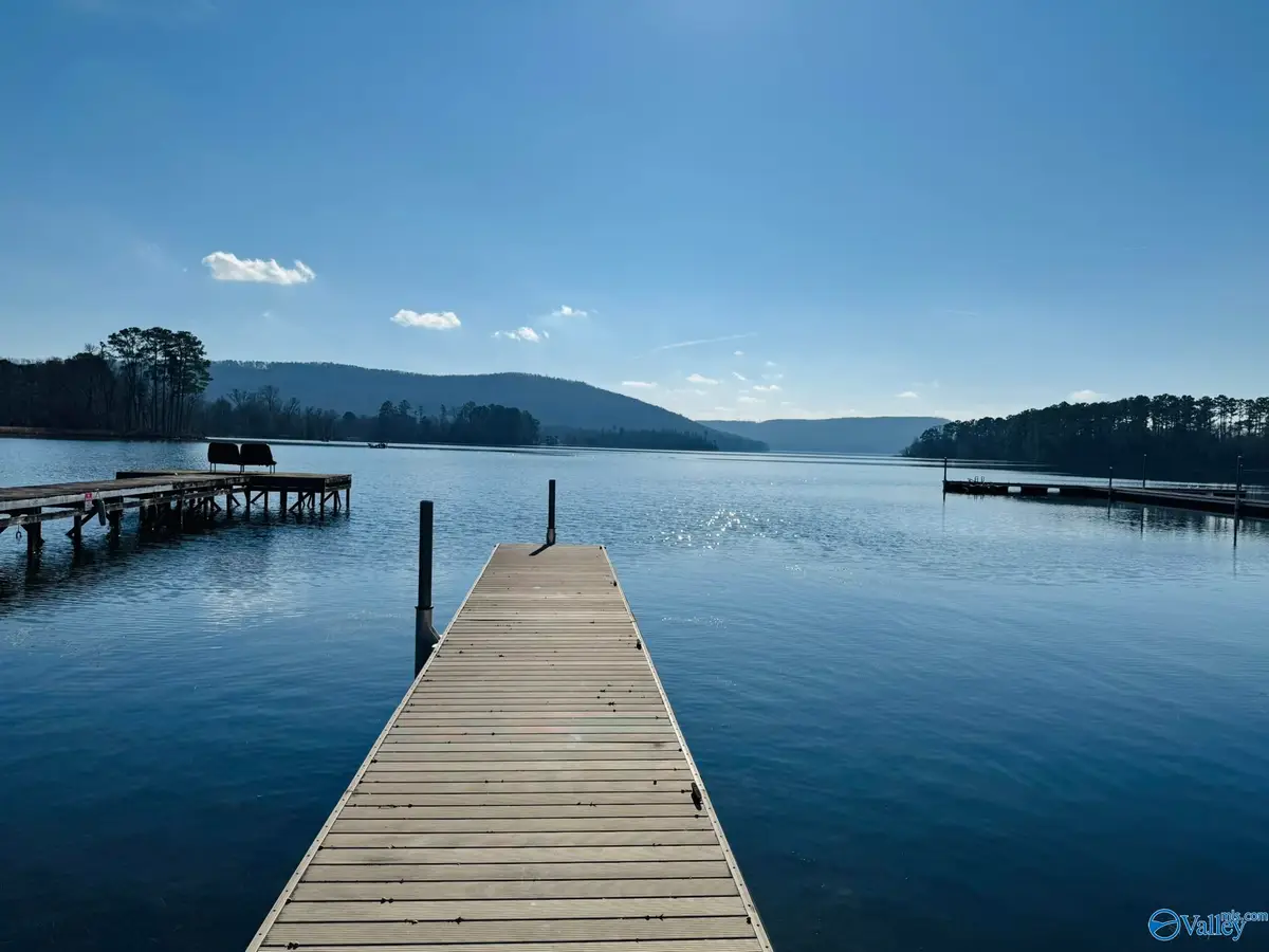 10174 County Road 67 #17, Langston, AL 35755 - Image #1