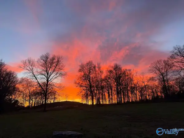 7200 Warrenton Road, Guntersville, AL 35976