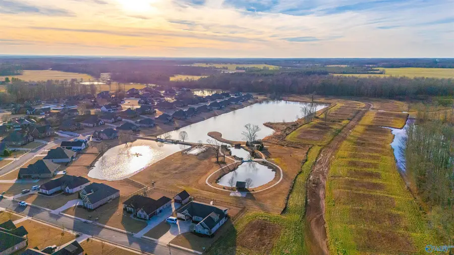 17536 Windermere Drive, Athens, AL 35611 - Image #2