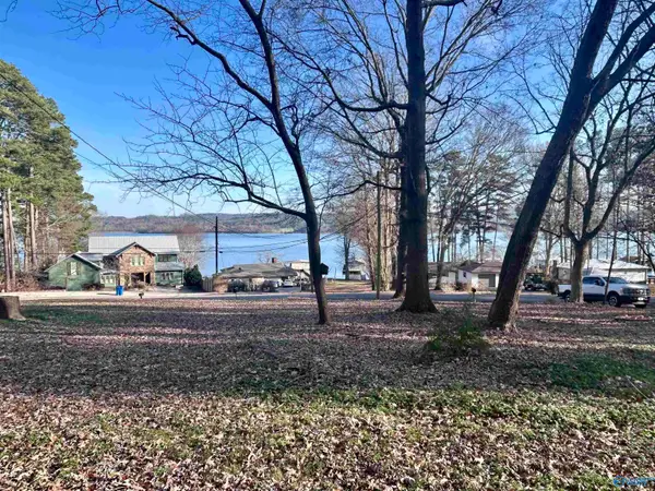 520 Point Of Pines, Guntersville, AL 35976