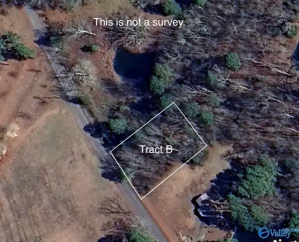 Tract B Hammonds Road, Fyffe, AL 35971