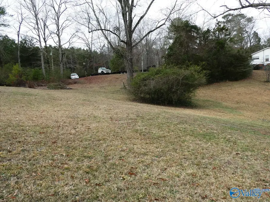 725 County Road 188, Crane Hill, AL 35053 - Image #3