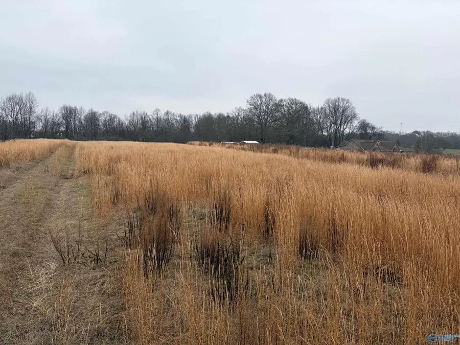 5.21 Acres Lowery Road, Arab, AL 35016 - Image #2