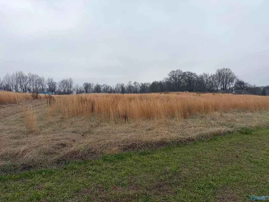 5.21 Acres Lowery Road, Arab, AL 35016 - Image #3