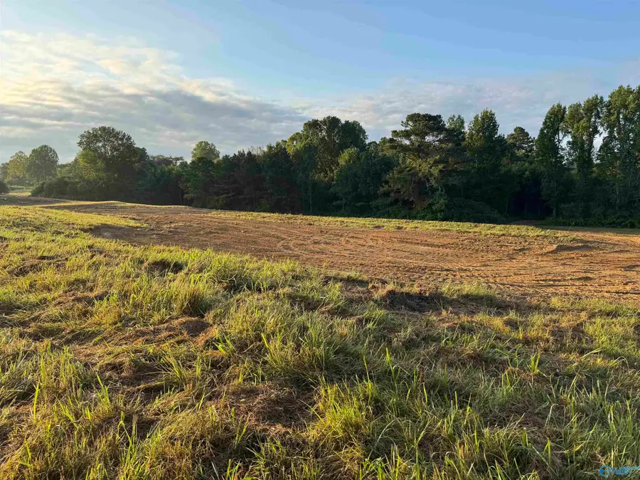 2.19 Baker Mountain Road, Grant, AL 35747 - Image #3