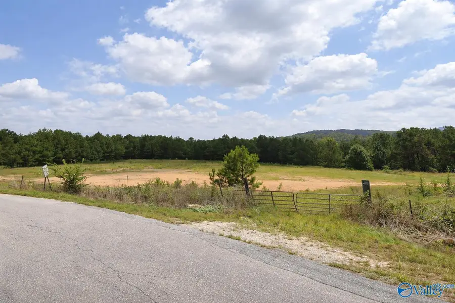 1280 Mack Alexander Road, Piedmont, AL 36272 - Image #2