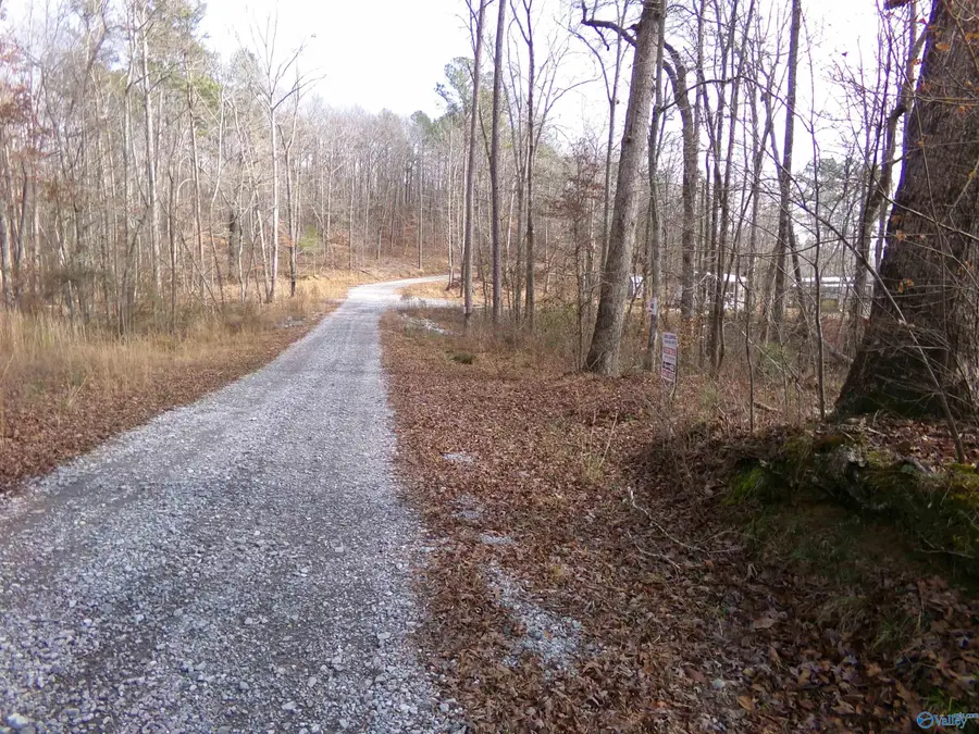 Lot 40 County Road 243, Cedar Bluff, AL 35959 - Image #2