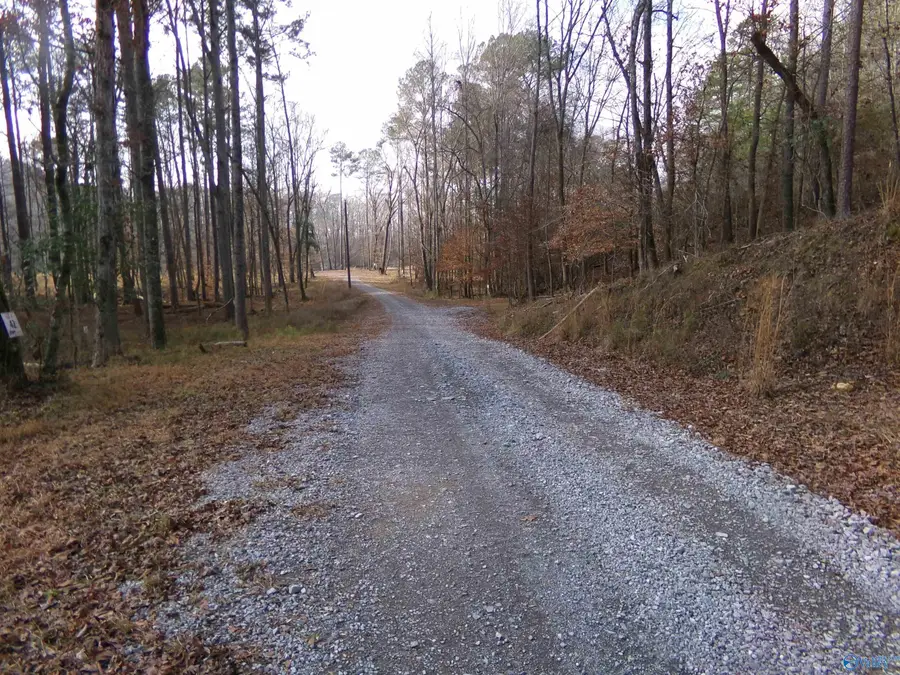 Lot 40 County Road 243, Cedar Bluff, AL 35959 - Image #3