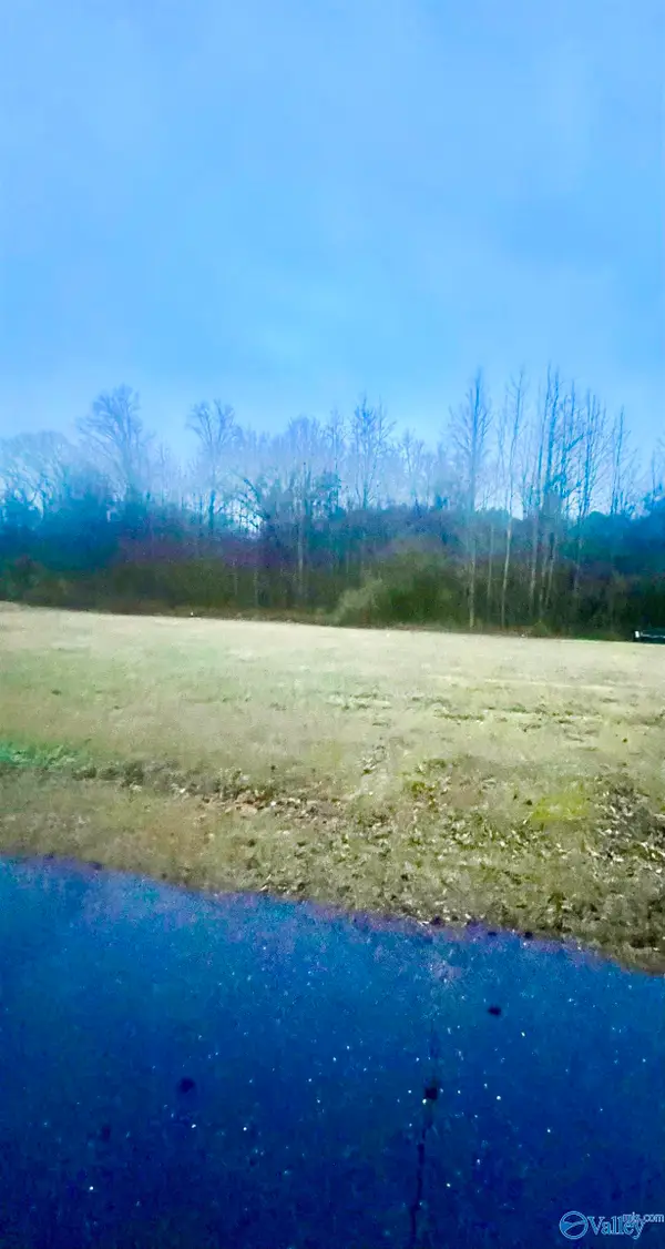 Lot 1 Holcomb Road, Guntersville, AL 35976
