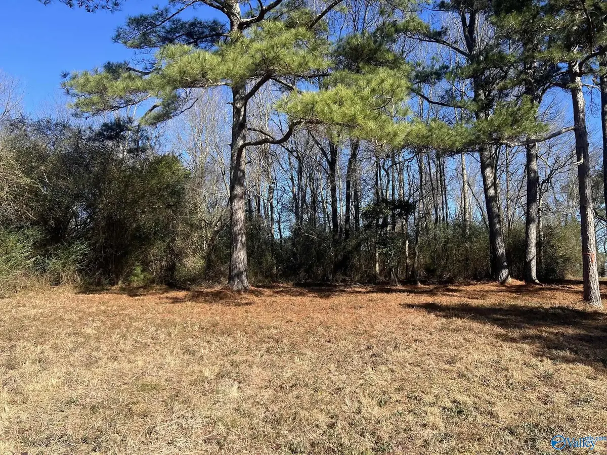 001 A County Road 1375, Falkville, AL 35622 - Image #1